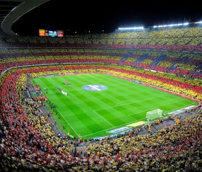 平台优势中B体育必一运动的表现全面解析